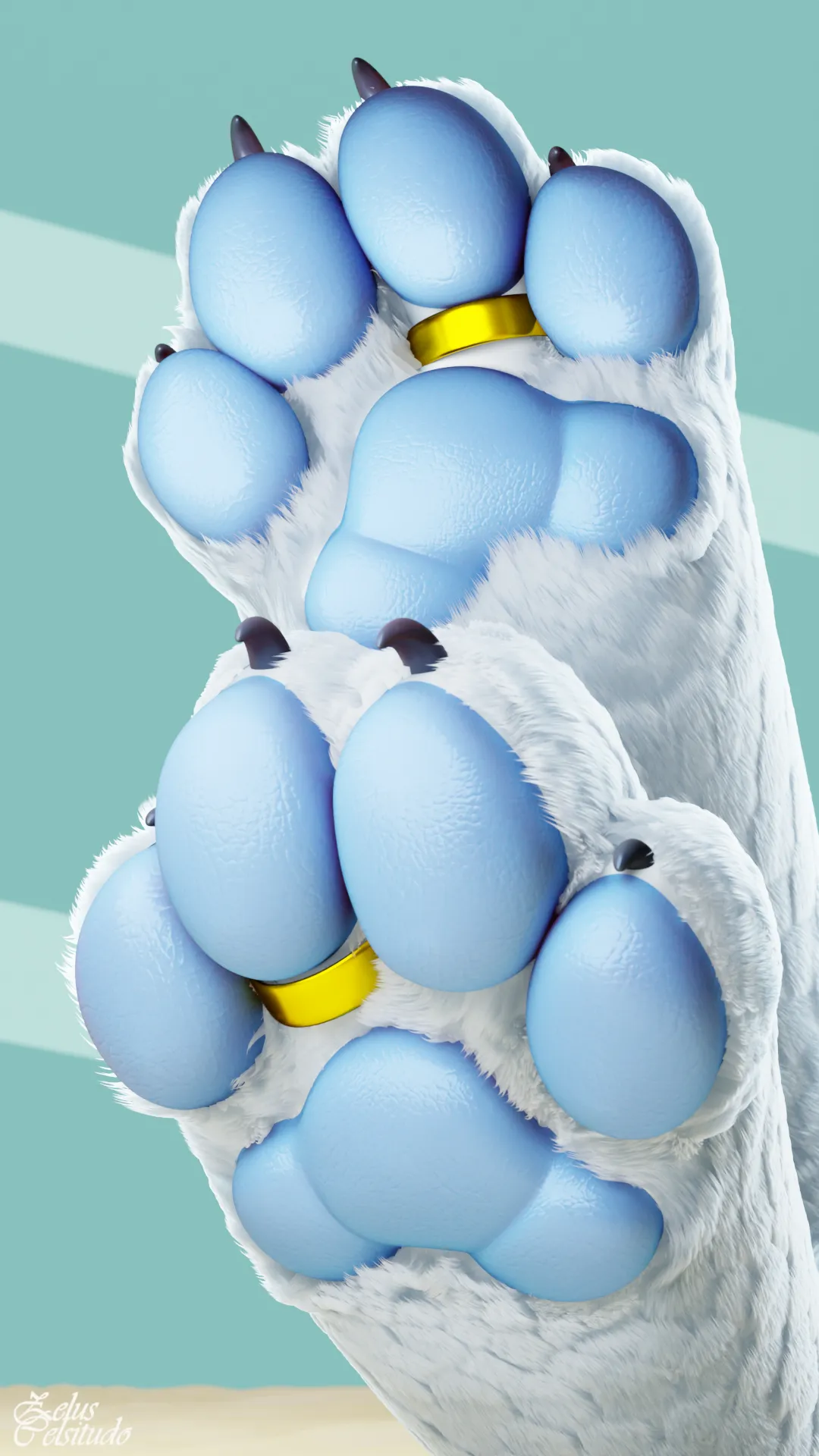 Paws :3
