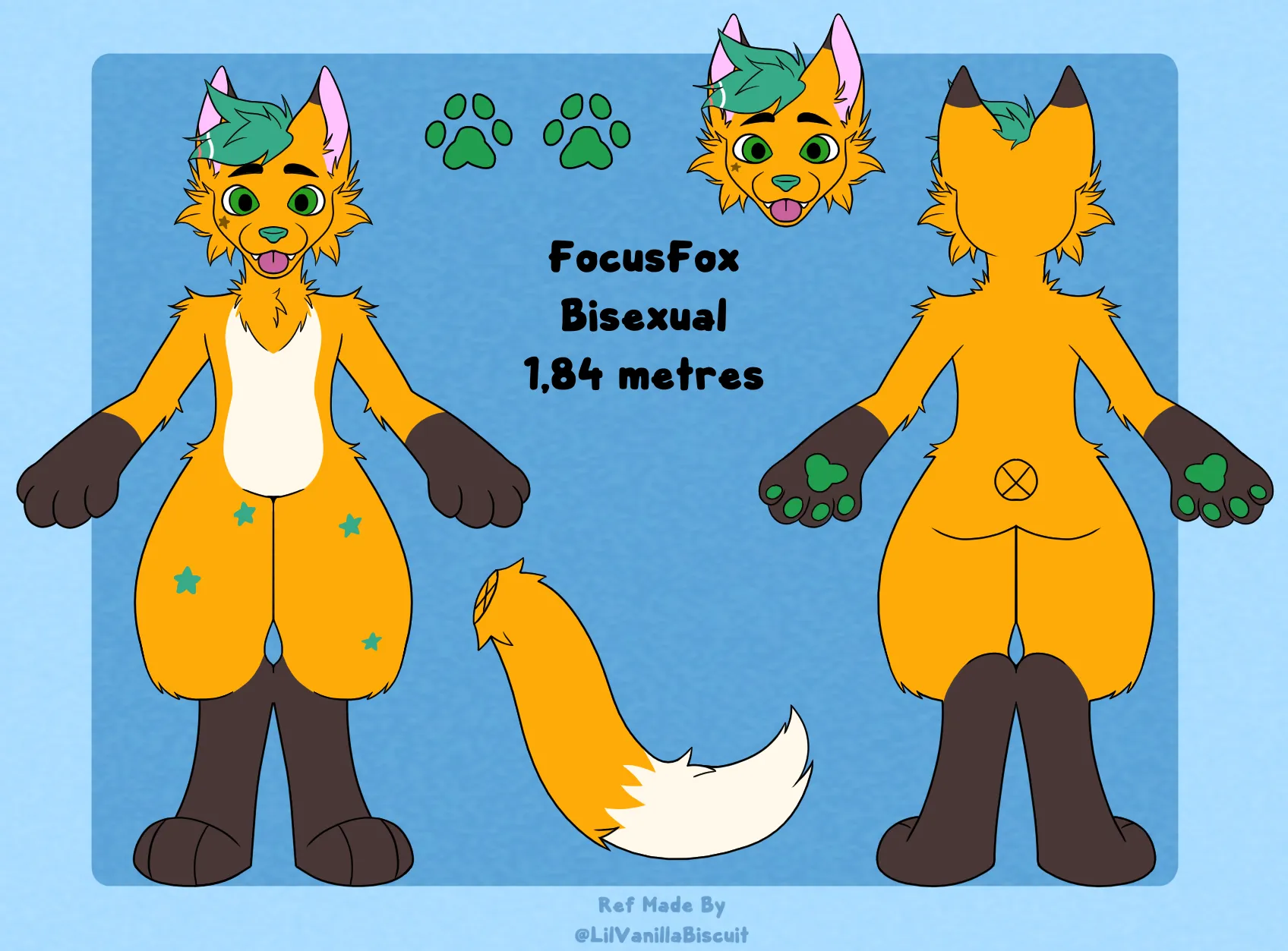 Ref sheet focusfox