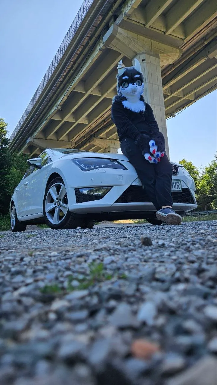 BOI car :3